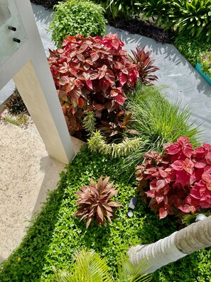 Áreas de la propiedad