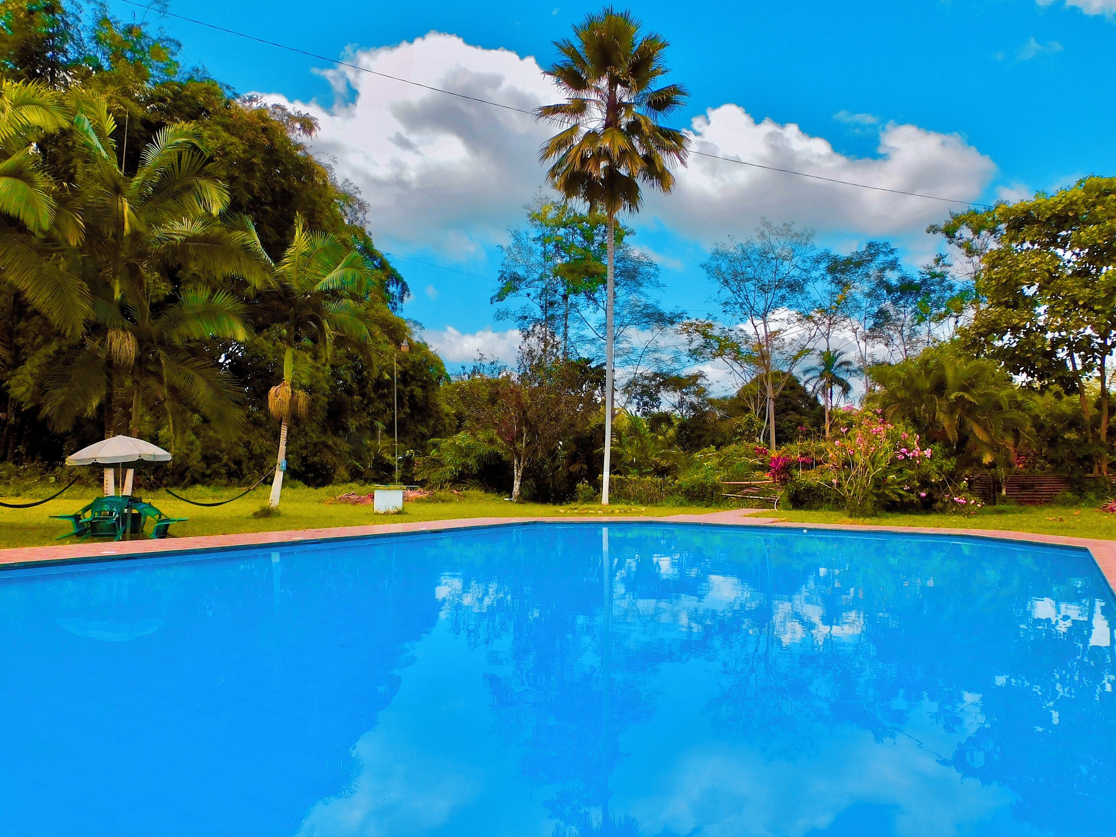 2 座室外游泳池，開放時間為 06:00 至 22:00，提供泳池遮陽傘和日光浴躺椅