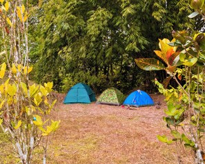 Exterior - Puerto Quito Lodge - Las Iguanas (Puerto Quito)