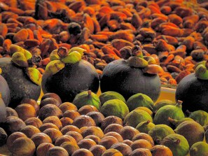 Tägliches kontinentales Frühstück (4.5 USD pro Person)