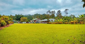 Sport court - Puerto Quito Lodge - Las Iguanas (Puerto Quito)