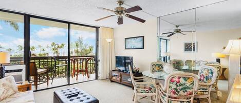 Flat-screen TV, DVD player