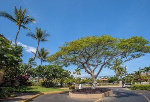 Se recomienda trasladarse en auto 