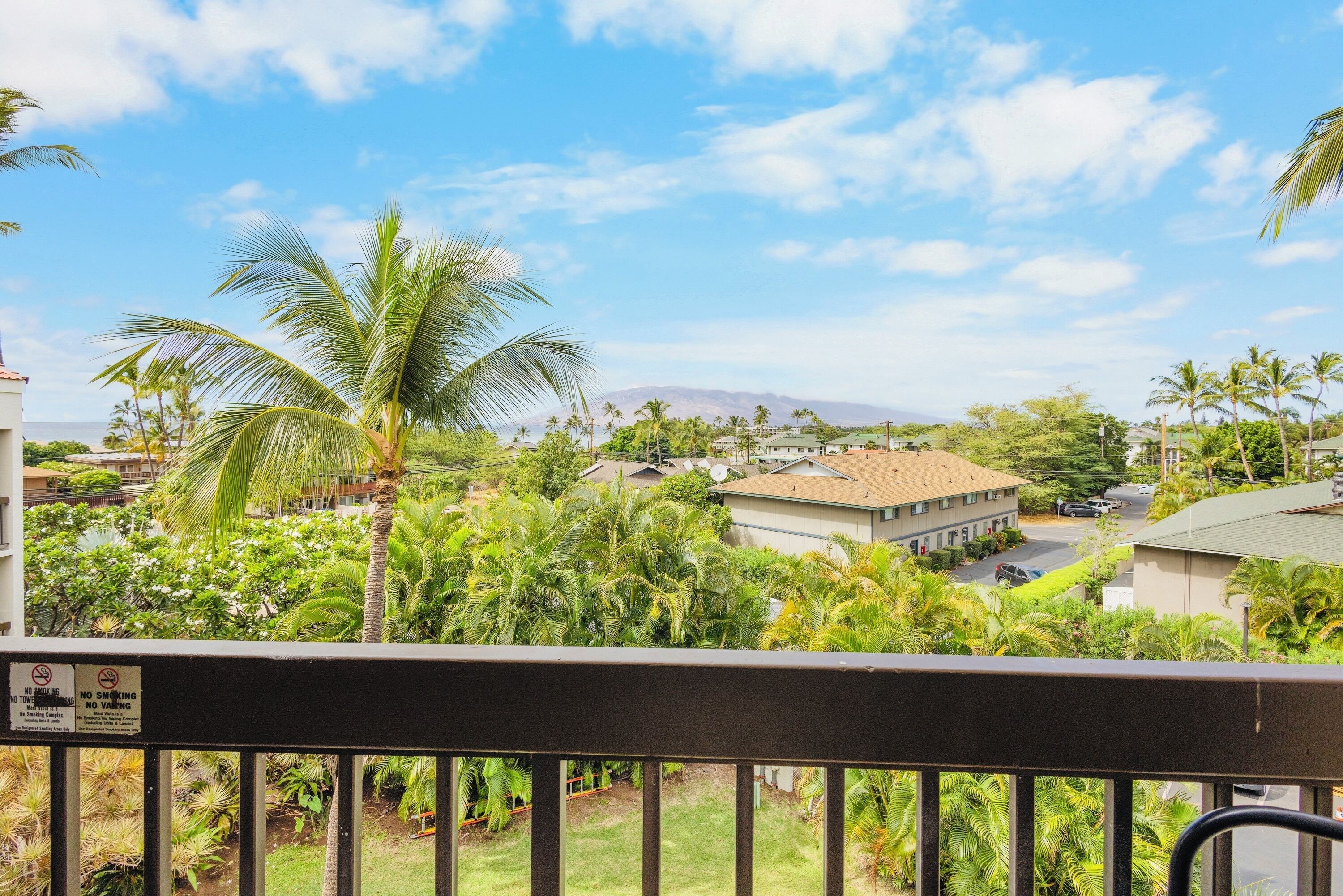 A residential area with a view of a mountain, palm trees, and houses.
