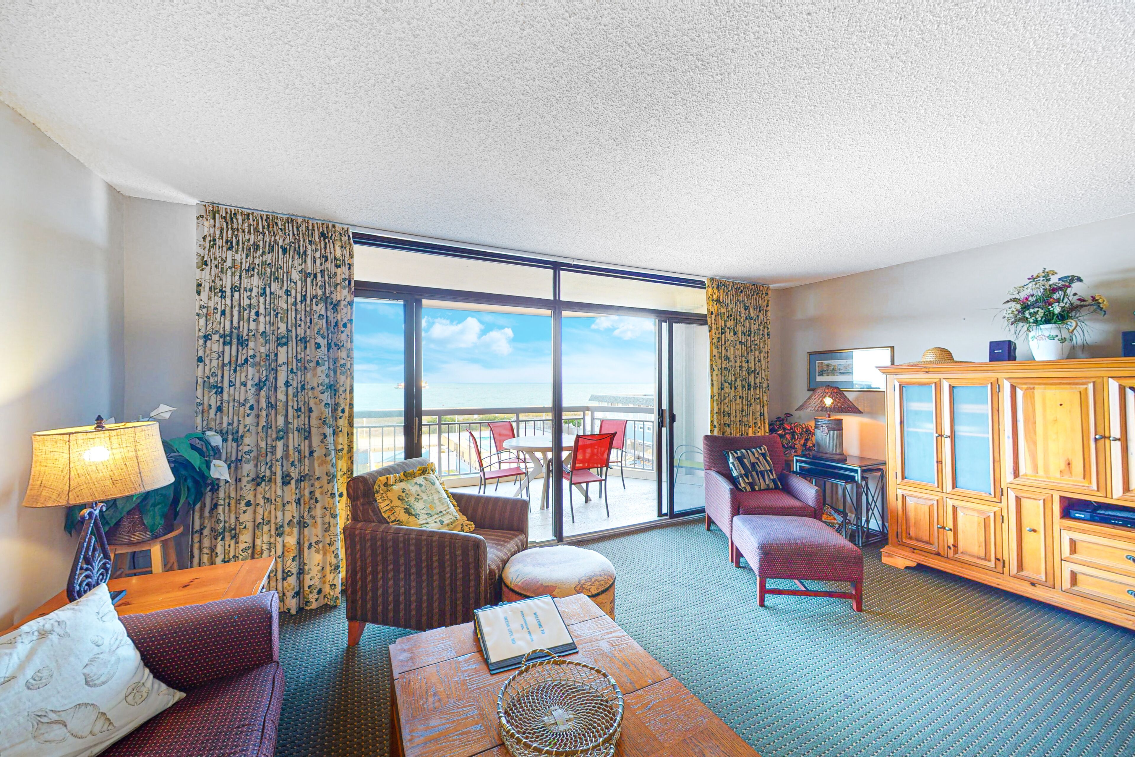 电视、DVD 播放器