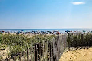 On the beach