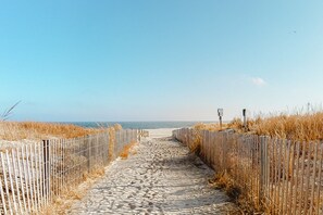 On the beach