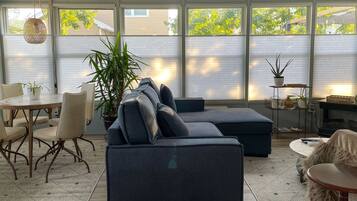 Smart TV, fireplace, books