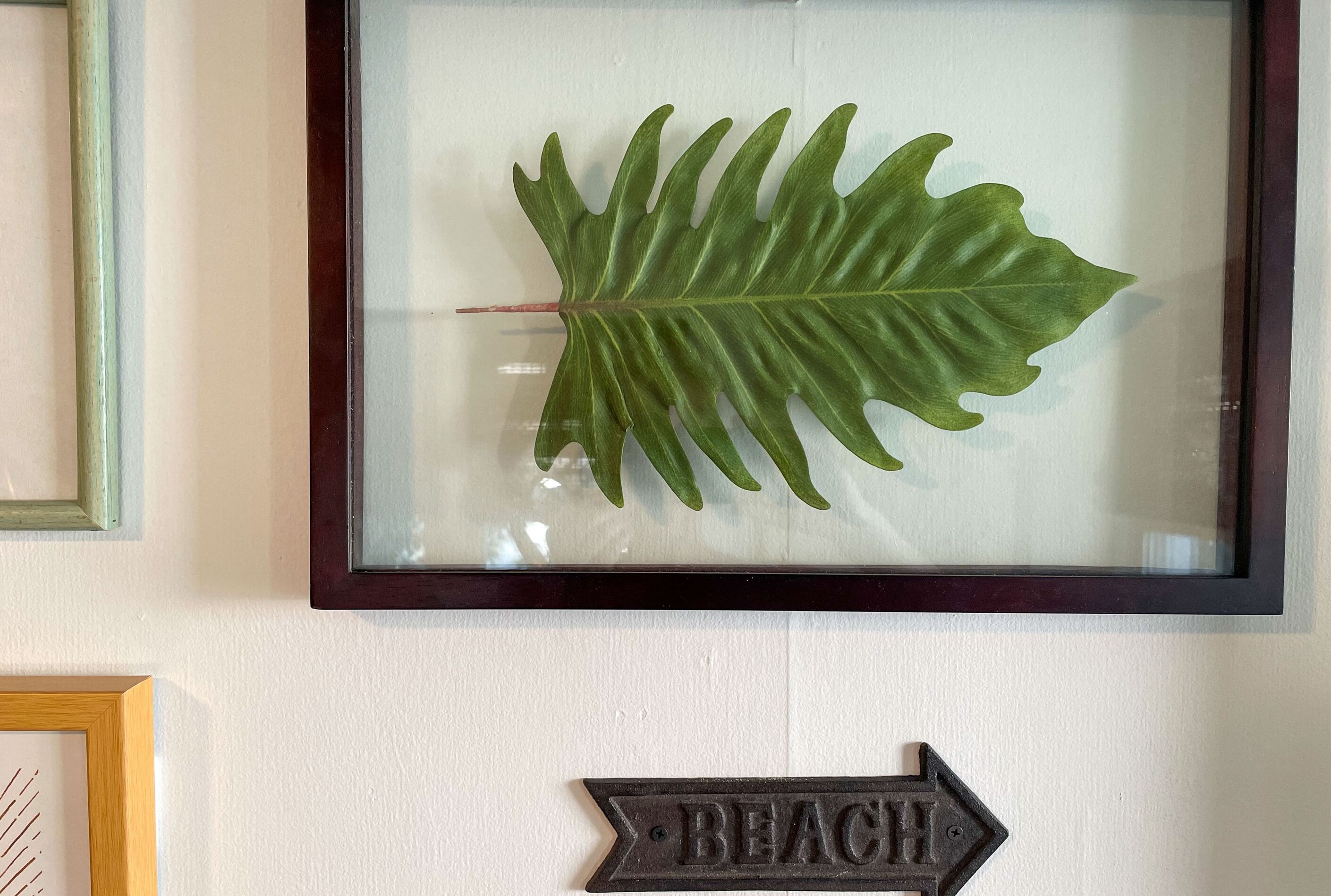 A framed leaf on a wall with a sign below it that reads "BEACH".