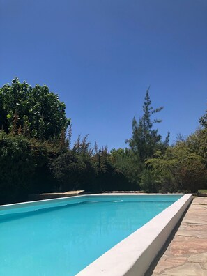 Una piscina rectangular con borde blanco, rodeada por un deck de piedra y abundante vegetación.