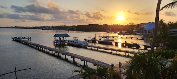 A marina with docked boats, a covered boat house, and a wooden pier extending into calm waters.