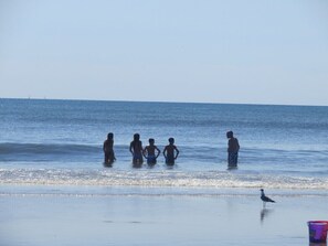 Beach - Central Boardwalk Area (2 Short Blocks To Beach & Boardwalk).   (Ocean City)