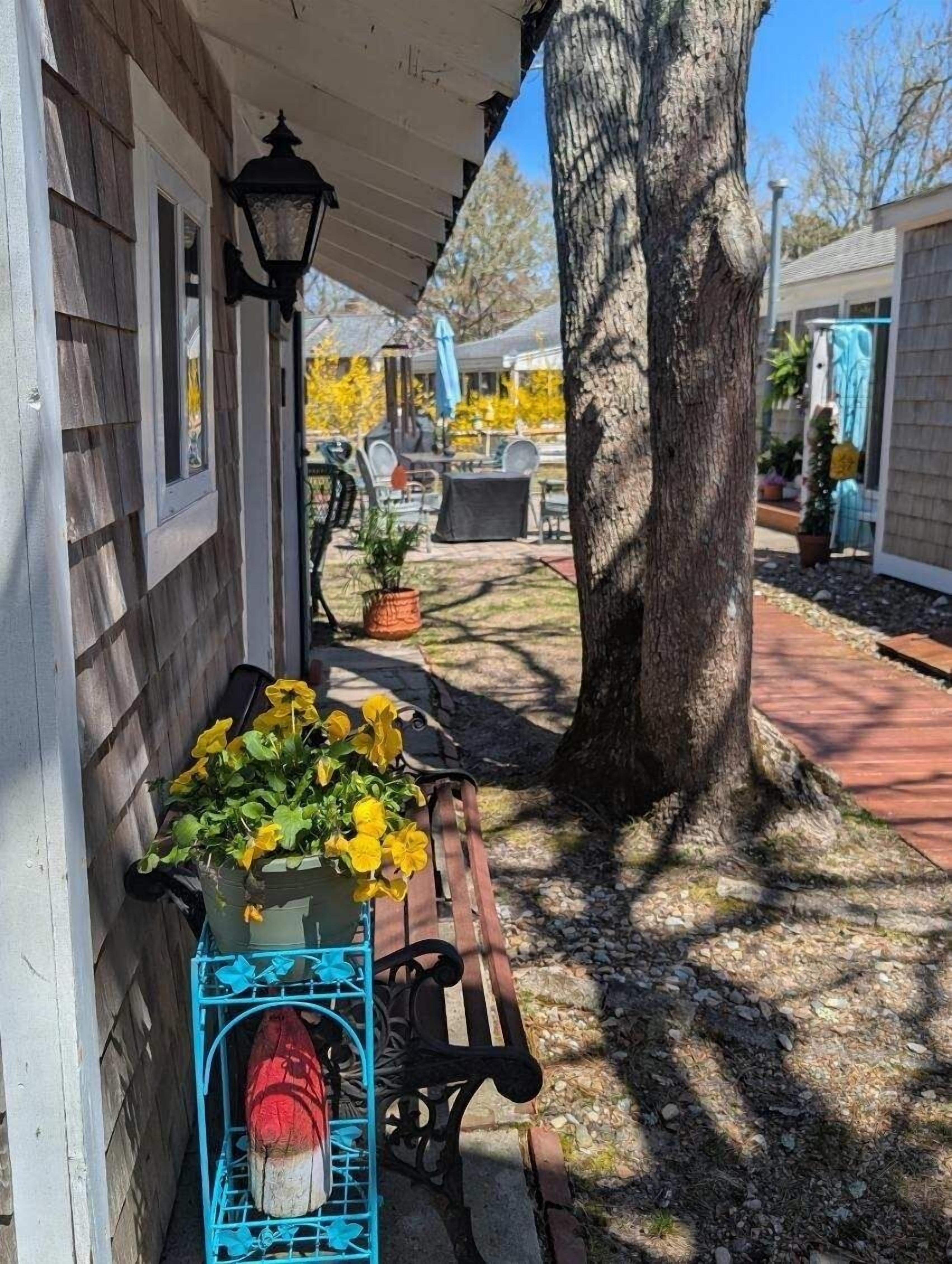 A wooden house with a porch, a bench, a potted plant with yellow flowers, and a large tree.