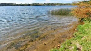 A clear lake with visible sandy bottom and surrounding grassy areas. - Bony Lake North in Barnes, WI on Bony Lake with great access to AVT & Snowmobile Trails (Barnes)