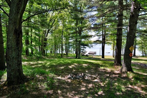 A campground with trees, a picnic table, and a fire pit.