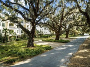 Terrain de lâhĂ©bergement