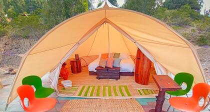 Glampwild Zaquencipa