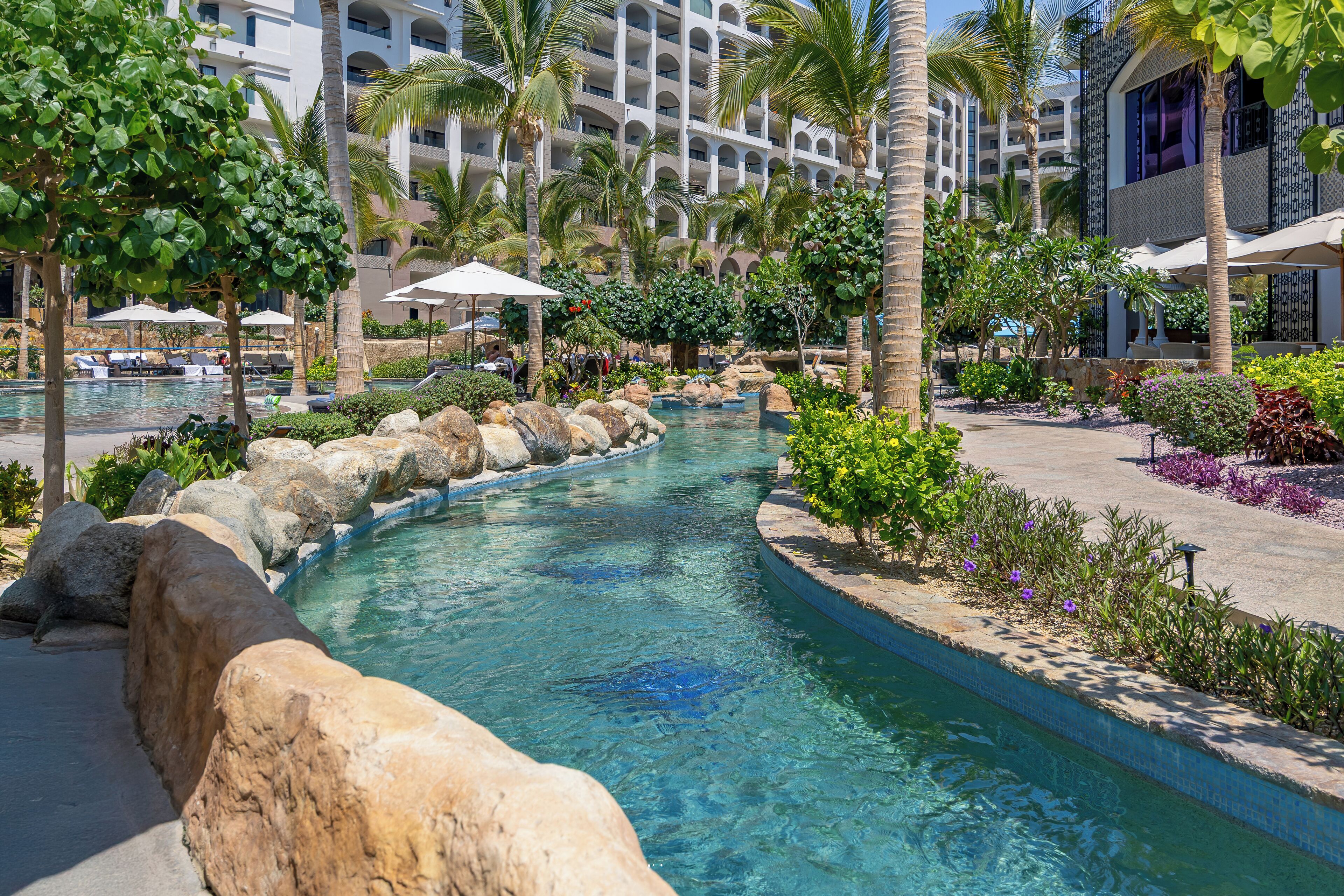 A hotel pool area with a clear water feature, surrounded by palm trees and lounge chairs.
