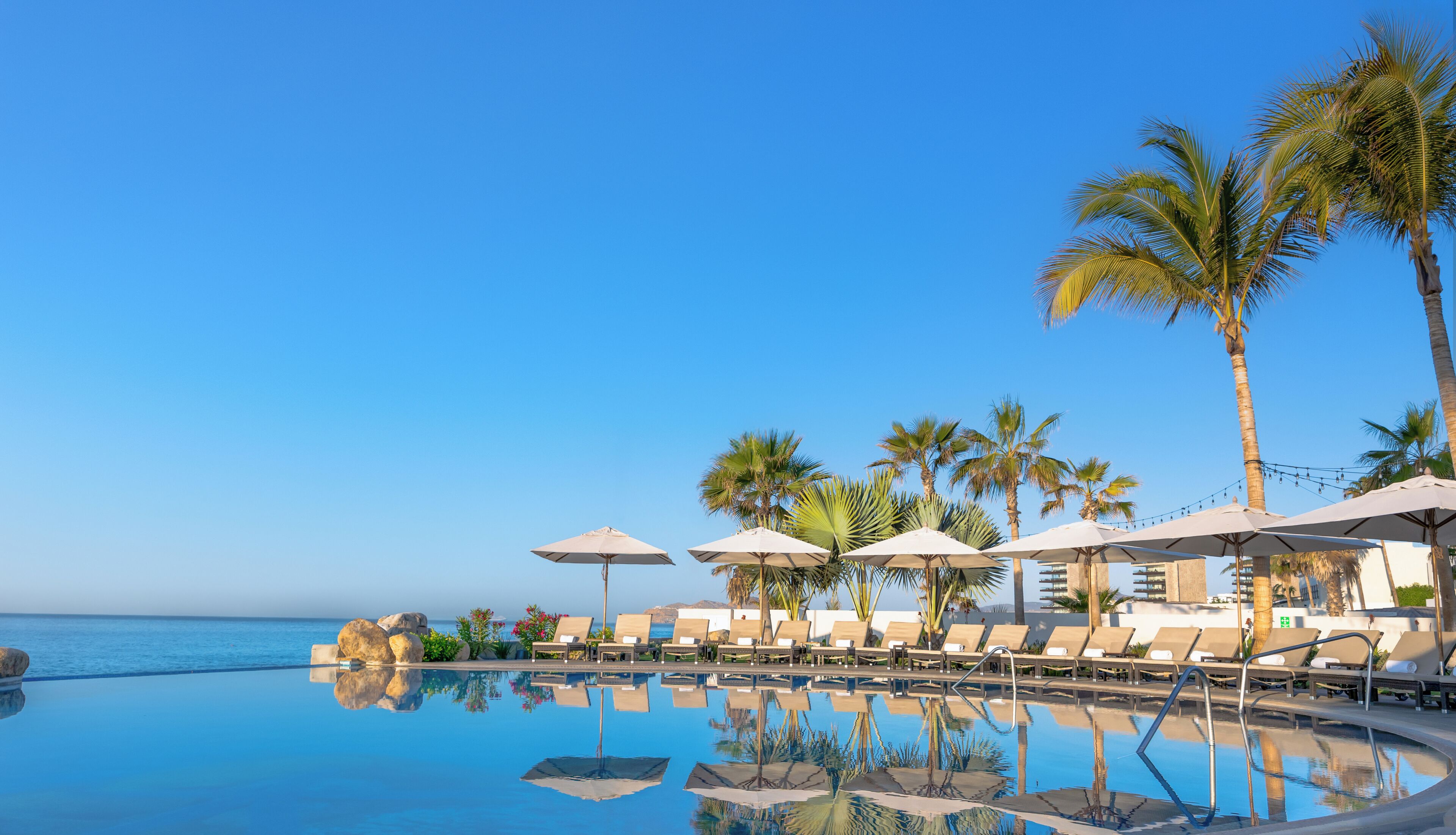Zona de piscina amb gandules i ombrel·les, palmeres i una vista despejada de l'oceà.