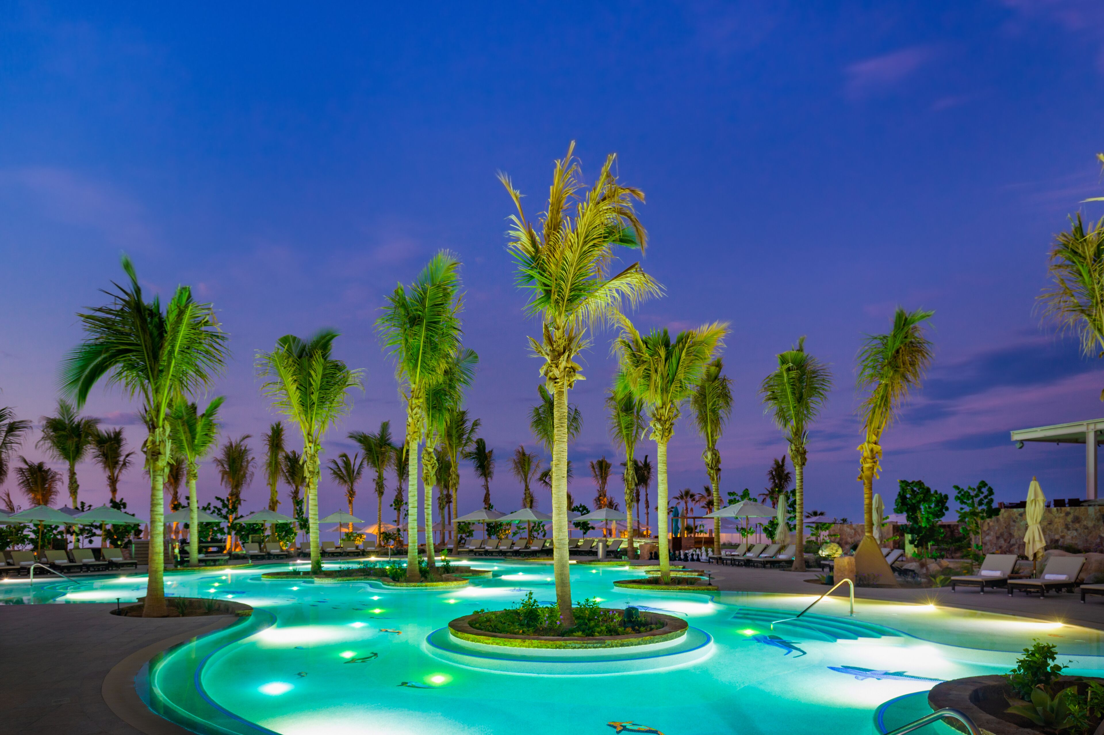 A pool area with multiple palm trees, lounge chairs, and umbrellas.