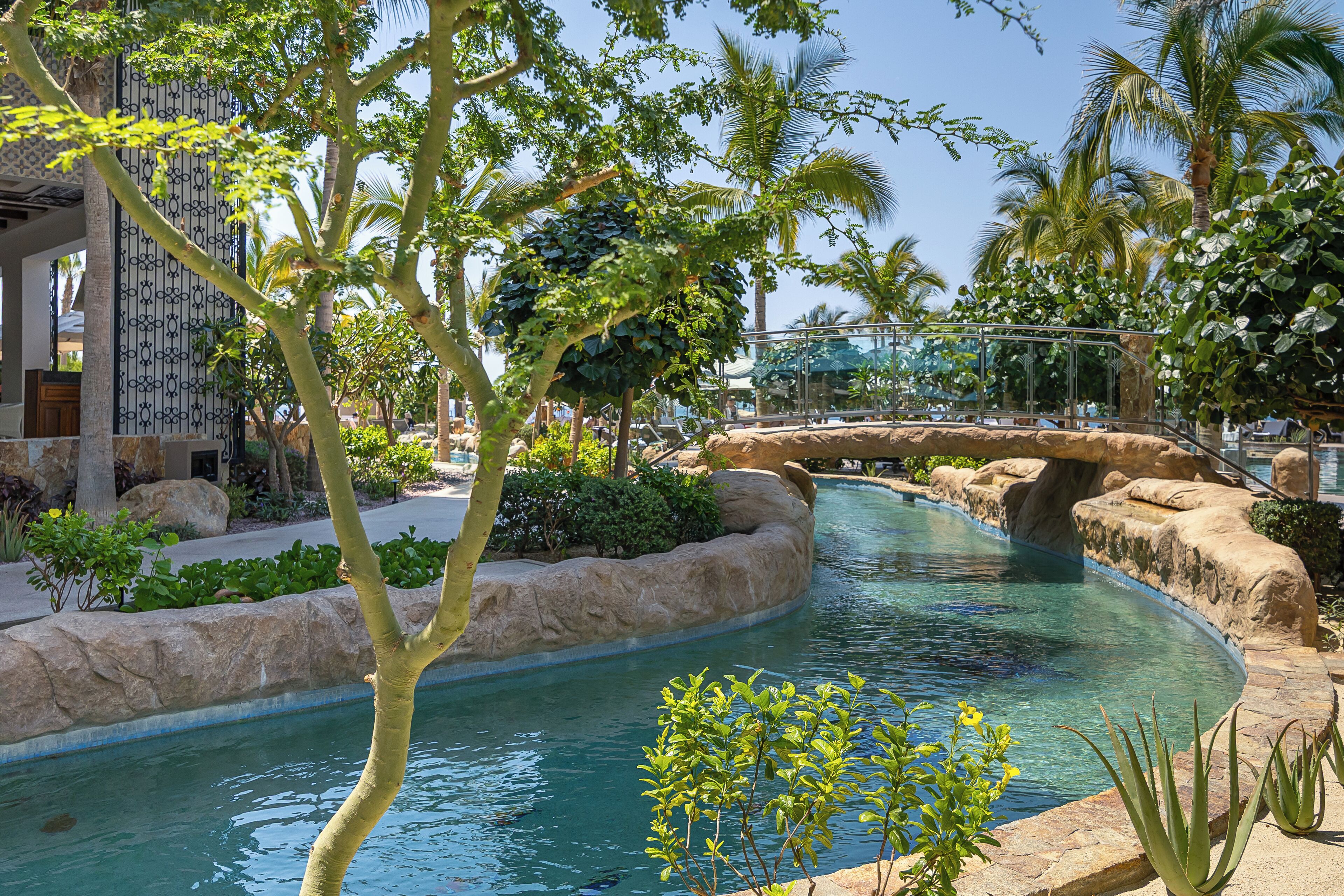 Un área de piscina con diseño curvo, rodeada de rocas y plantas, y un puente sobre el agua.