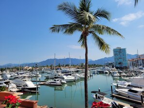 A marina with multiple boats docked, a palm tree, and a mountain range in the background.