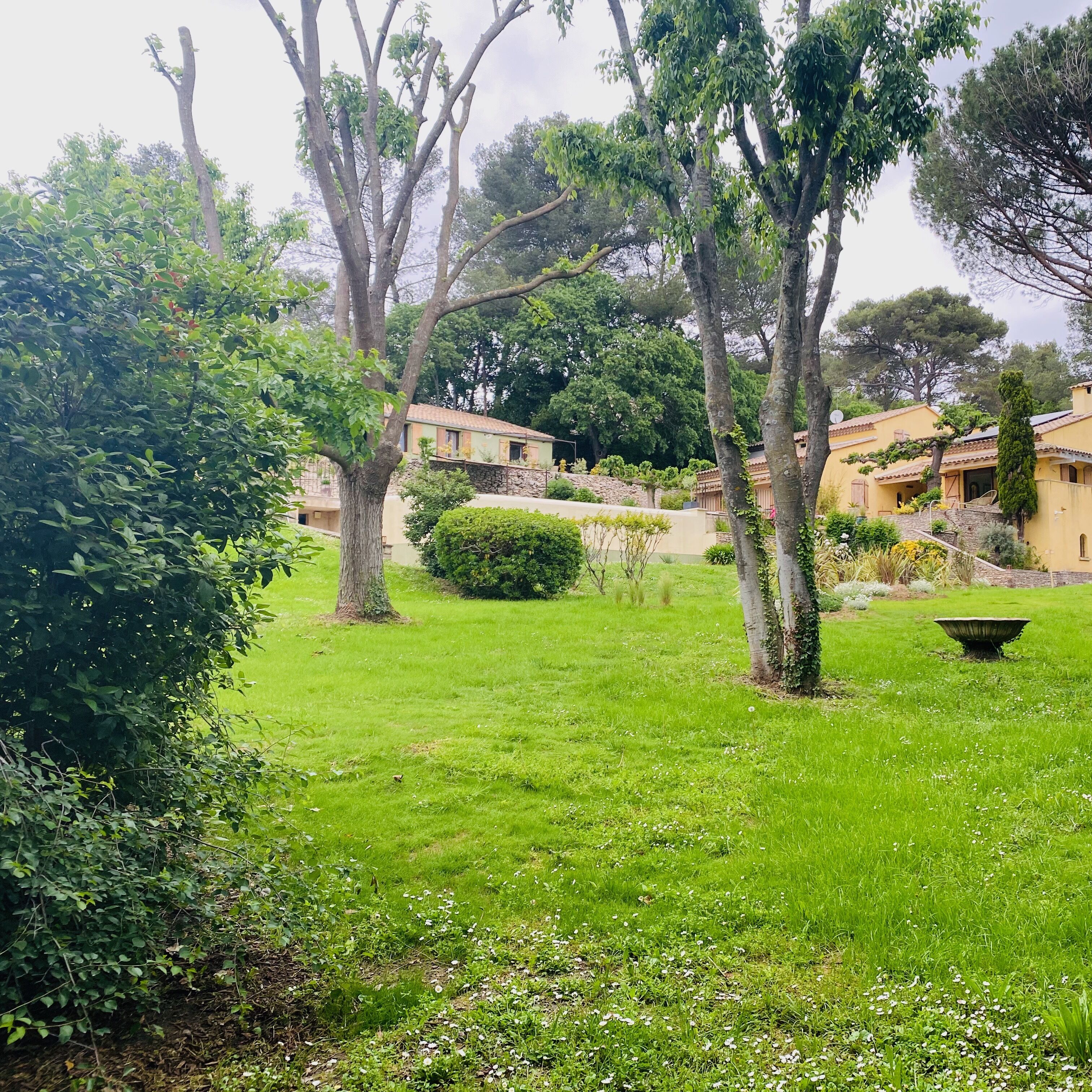 A lush garden with a stone wall, a variety of trees, and a building with a tiled roof.