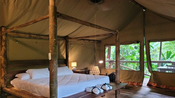 Unclassified image, 1 of 9, button - Glamping tent jungle view 4 people (Sixaola)