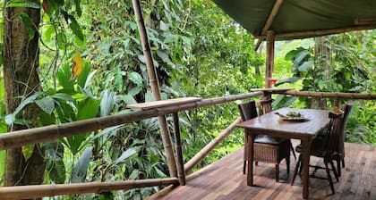 Glamping tent jungle view 4 people