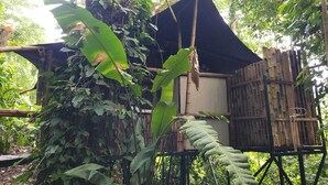 Unclassified image, 4 of 9, button - Glamping tent jungle view 4 people (Sixaola)