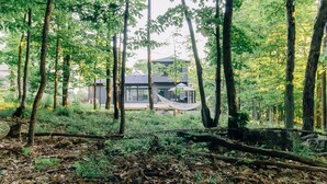 A forested area with a modern house featuring a large window and a hammock.