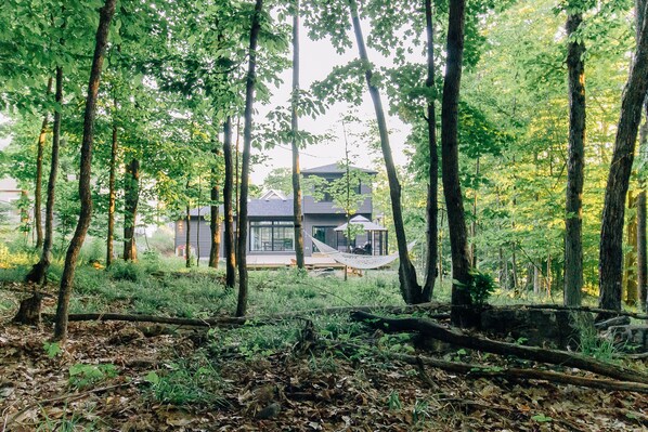 A forested area with a modern house featuring a large window and a hammock.
