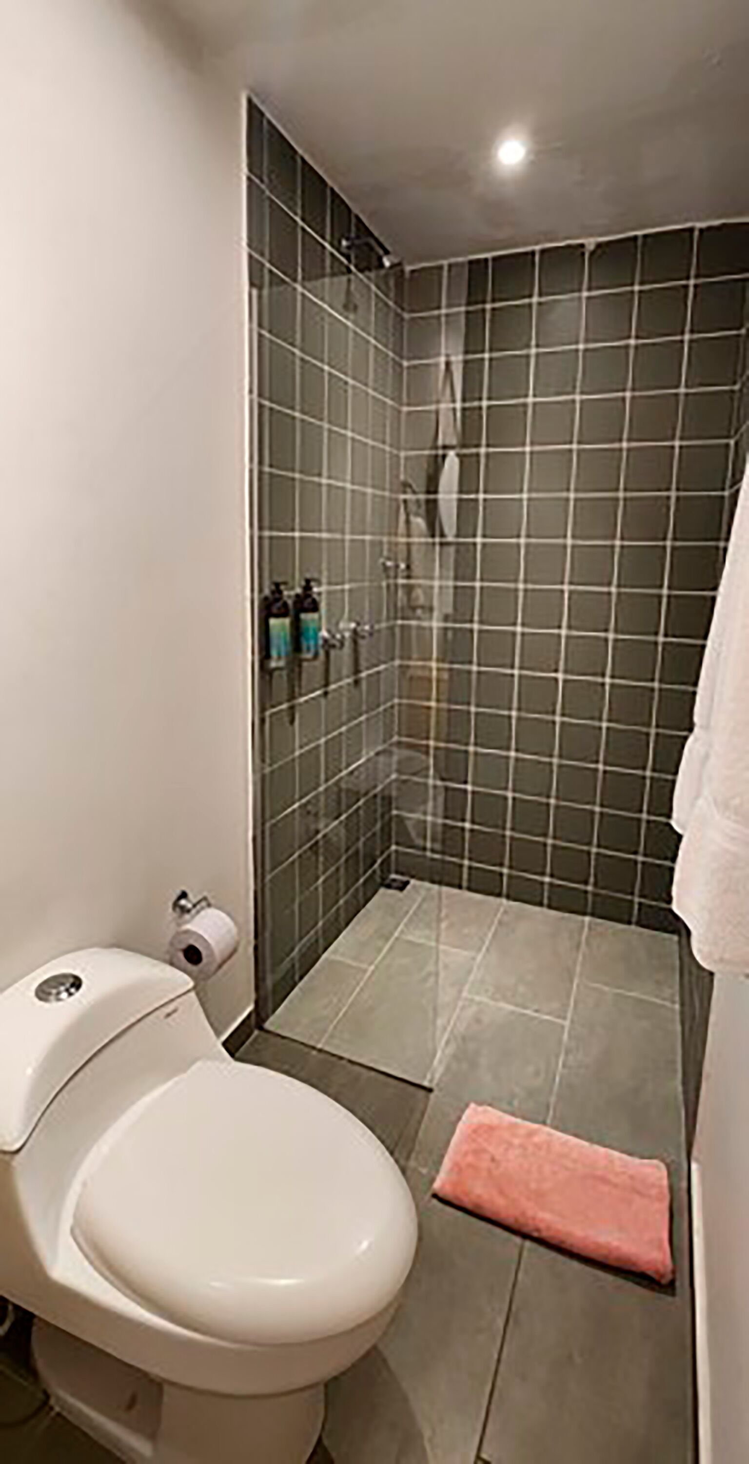 A bathroom with a toilet, a shower, and a tiled wall.