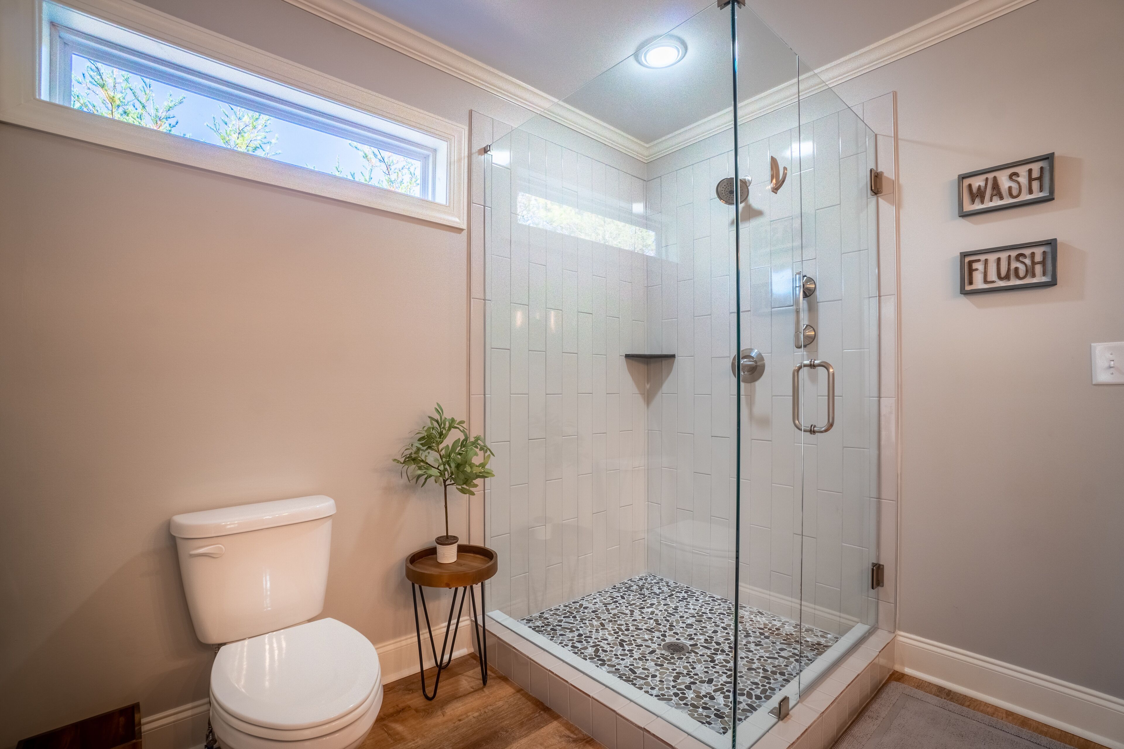 A bathroom with a glass-enclosed shower, a toilet, and a small plant on a side table.