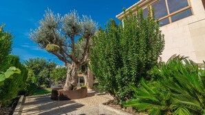 Un jardín con diversos árboles y arbustos, un sendero empedrado y un edificio con amplias ventanas.