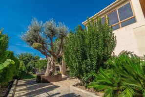 Terrein van de accommodatie