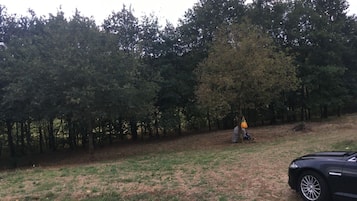 Enceinte de lâhĂ©bergement