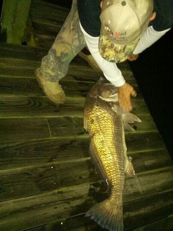 A wooden staircase with a person holding a large fish.