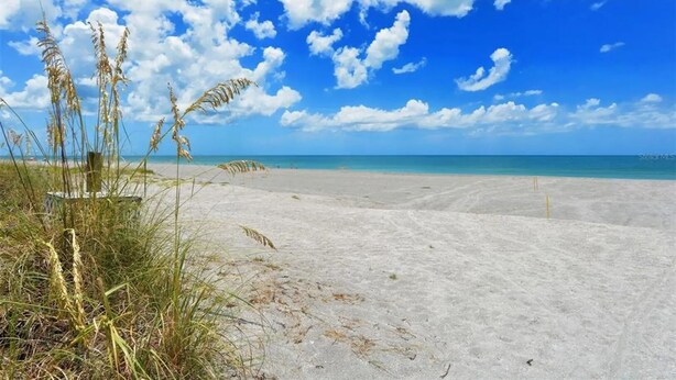 Uma praia com areia e gramíneas altas.