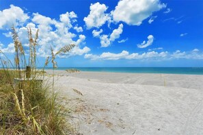 Ein Strand mit Sand und hohem Gras.