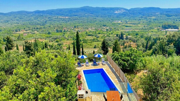 A rectangular pool with a stone deck, surrounded by lush greenery and trees.