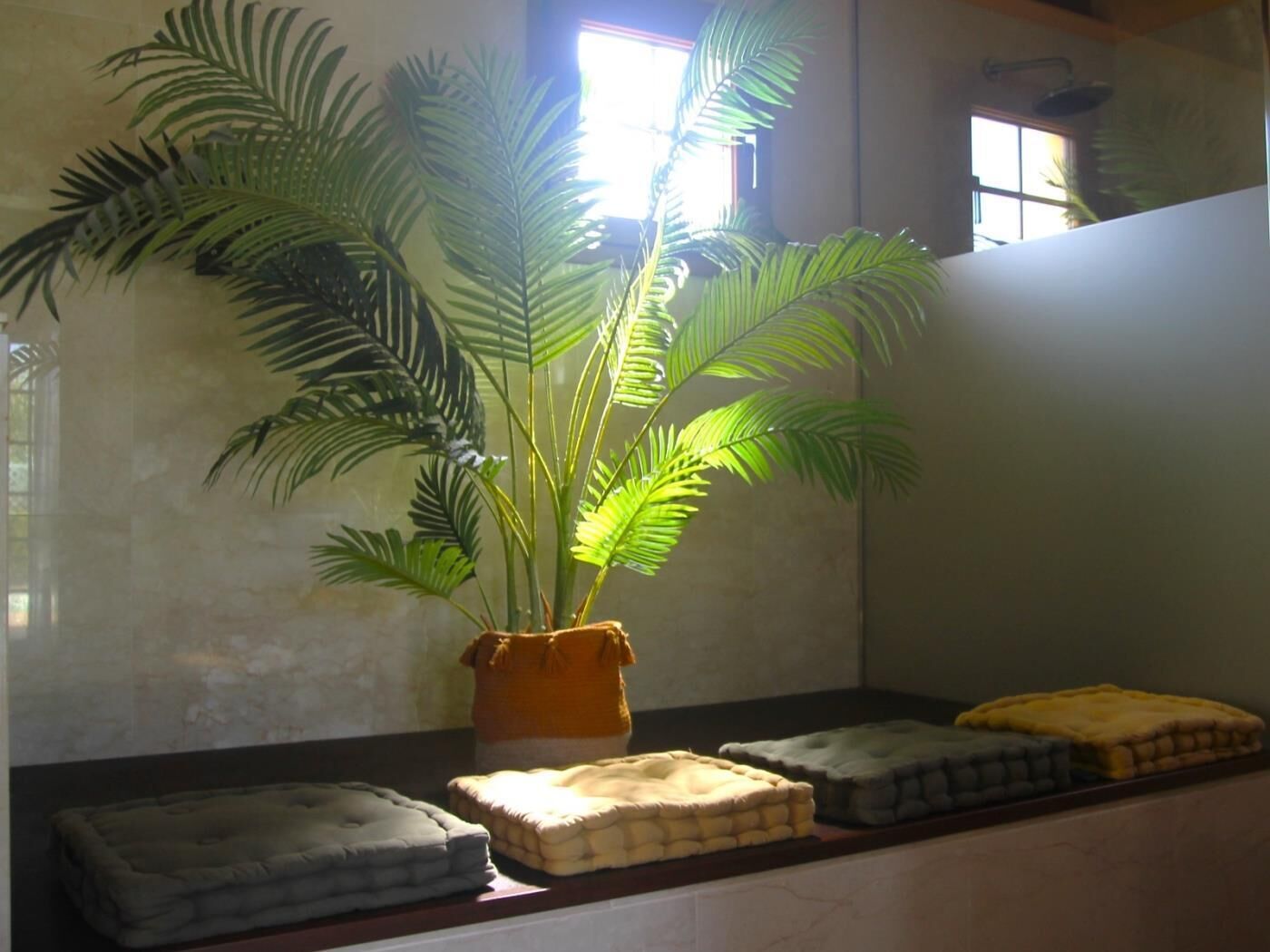 Une pièce avec une grande plante en pot, une fenêtre et une étagère où sont pliées des couvertures.