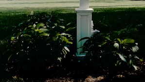 A signpost with "Pine Cottage" written on it, surrounded by greenery and trees. - Beautiful Modern Cottage with Private Lake Access (Skaneateles)