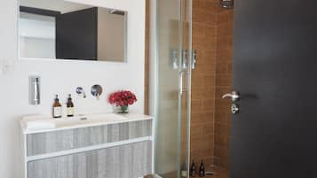 Suite básica | Baño | Regadera, regadera tipo lluvia, secadora de cabello, toallas
