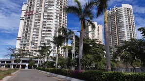 Un edificio residencial alto con múltiples balcones, rodeado de palmeras y follaje.