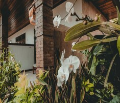 Superior Room | Vista do quarto