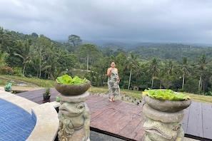 View from property - KTS - Kubu Tepi Sawah (Pupuan)