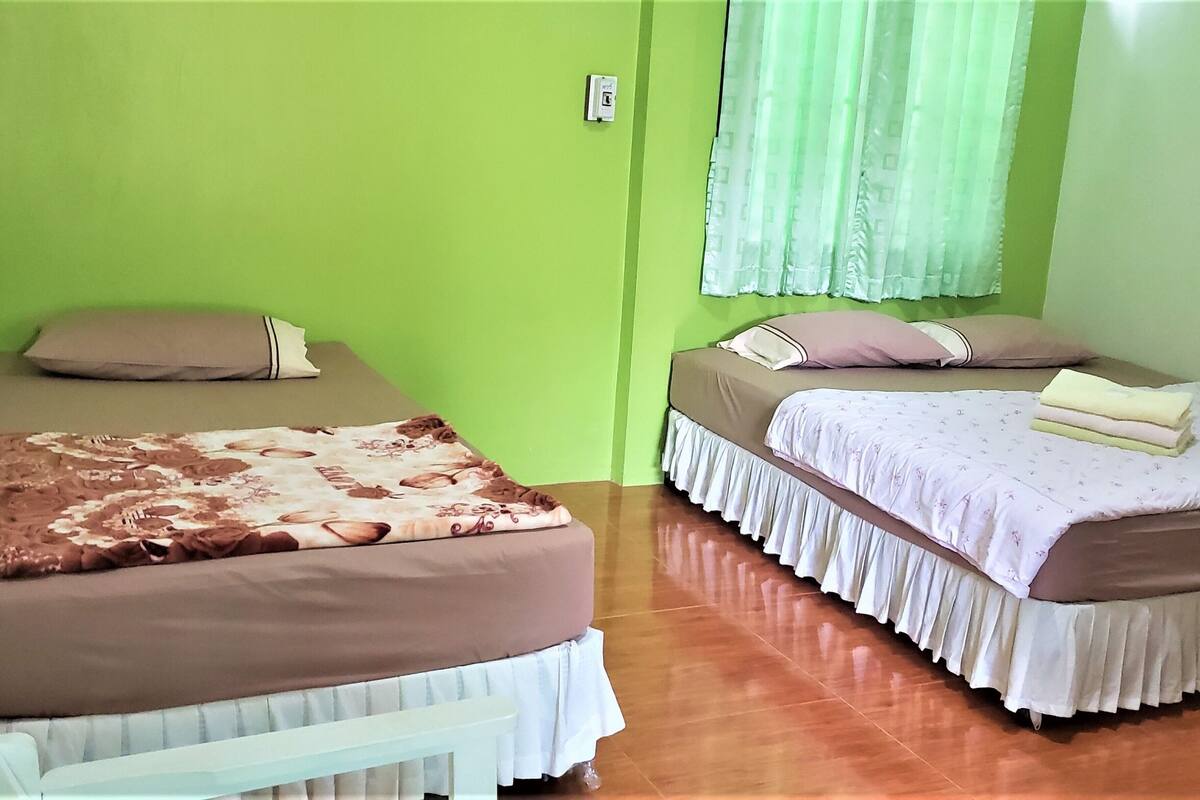 Two single beds with different bedding styles, a green wall, and a window with curtains.