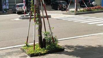 A street view with a bench, a tree, and a building with a sign that reads "Trinh Shop".