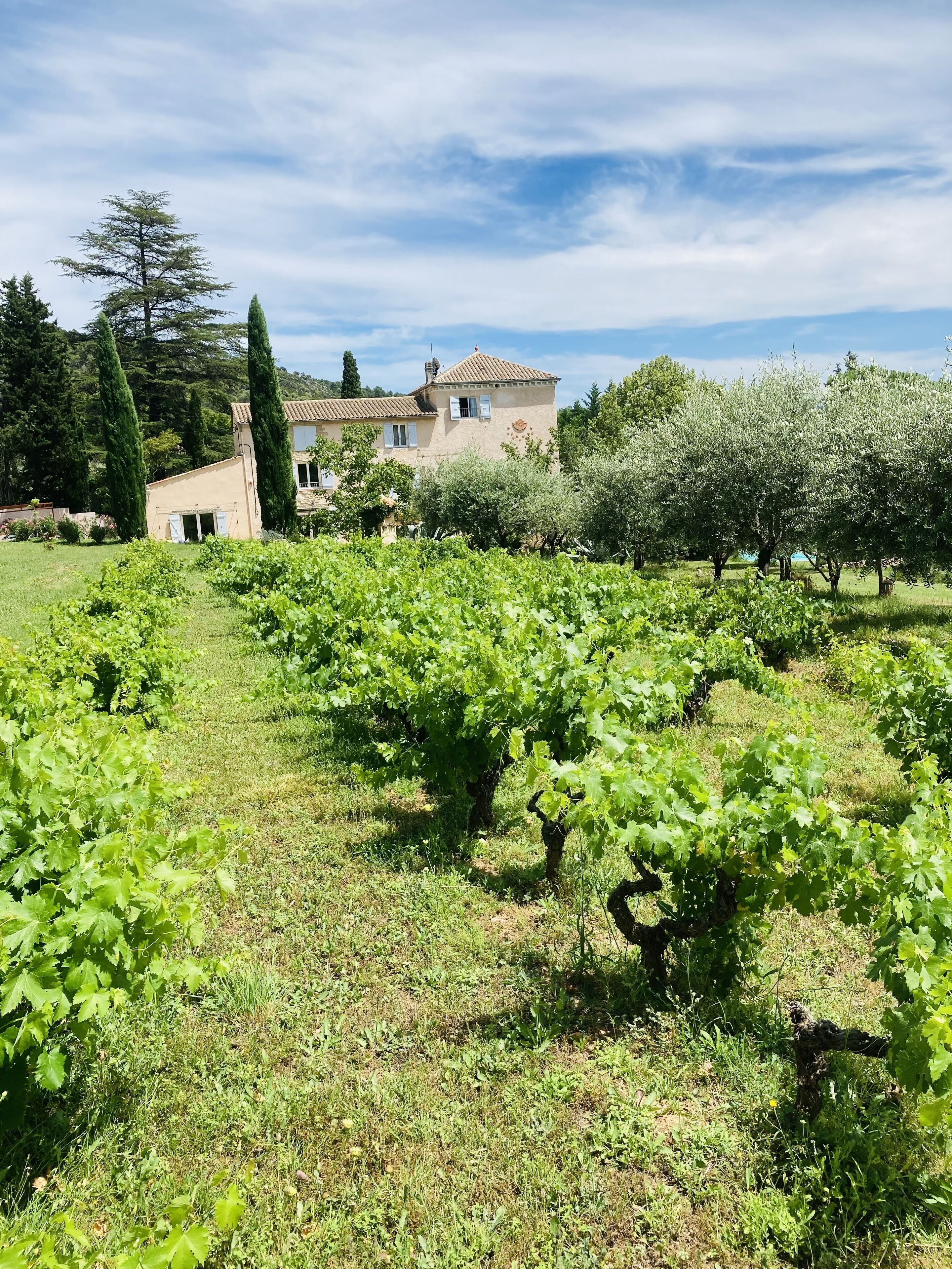 Áreas de la propiedad